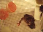 76466_chick2-4.jpg