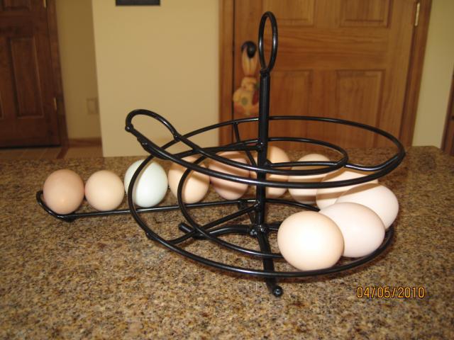 7664_egg_skelter_004.jpg