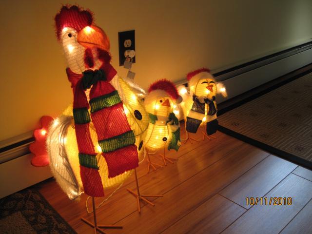 7664_holiday_chickens_003.jpg