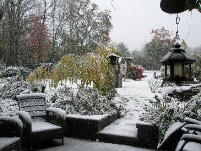 7664_more_001.jpg
