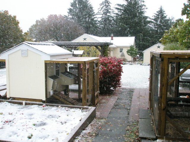 7664_snow_006.jpg