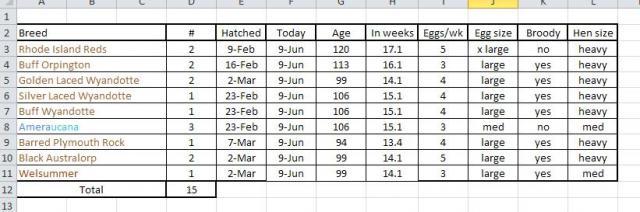 76677_chix_spreadsheet.jpg