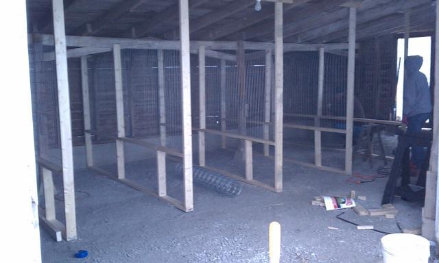 76732_chickenbarnprogress.jpg