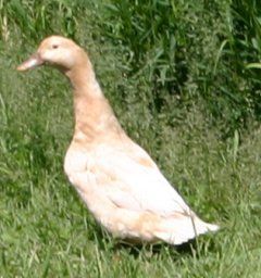 7674_img_5248_edited.jpg
