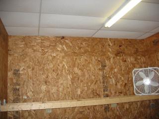 7681_roost_and_ceiling.jpg