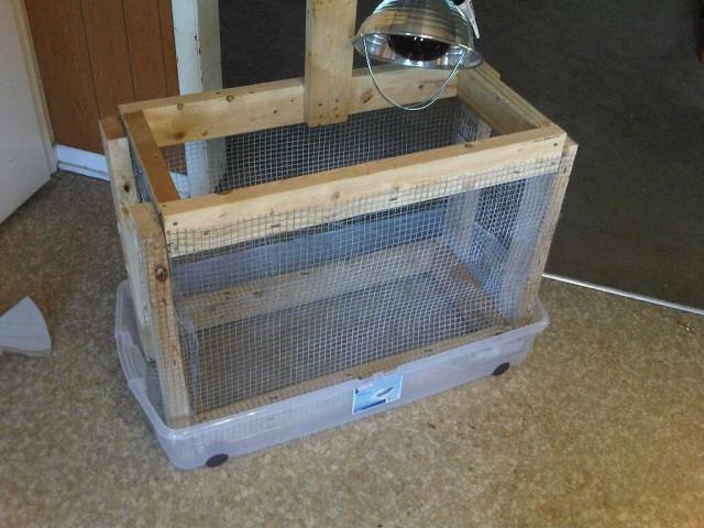 77005_img00054-20110130-1705.jpg