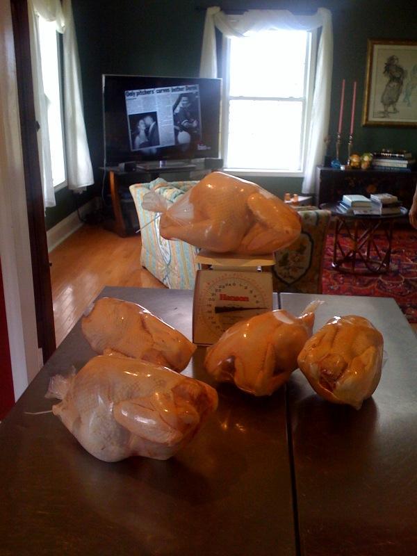 77123_chicken.jpg