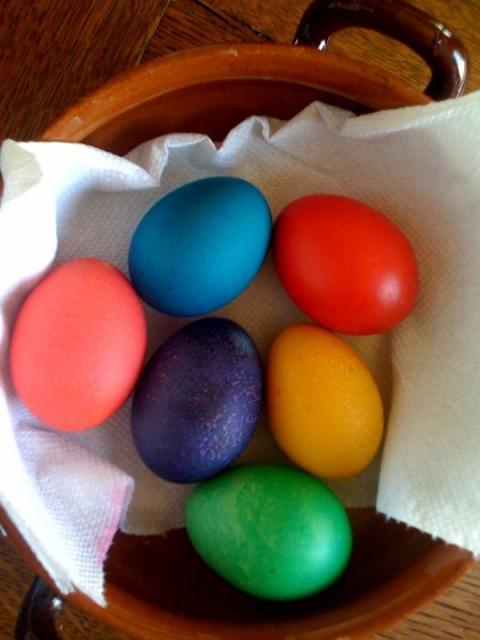 77123_eggs1.jpg