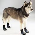 77123_shoes.jpg