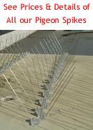 77358_pigeonwire_article.jpg