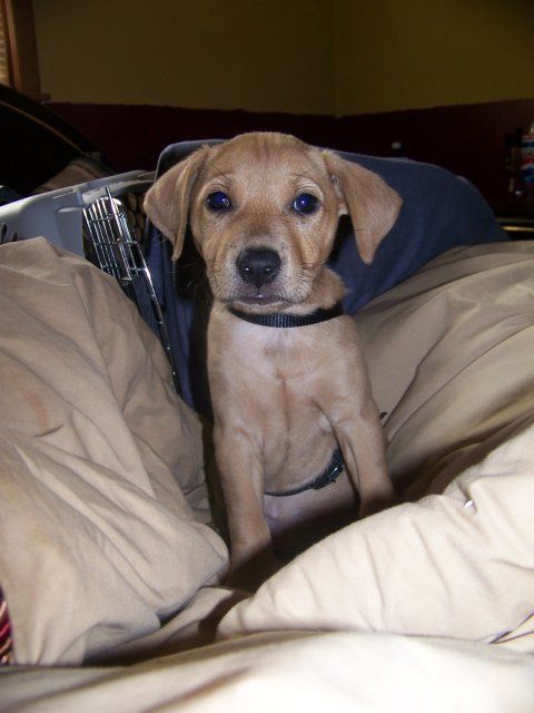 7736_hailey_001.jpg