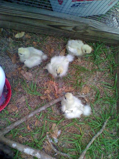775_090503_154620.jpg