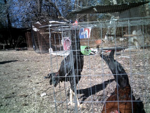 7779_dscf0021.jpg