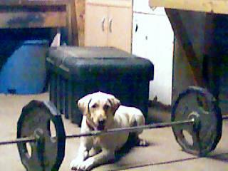 7792_trigger_lifting_weights2.jpg