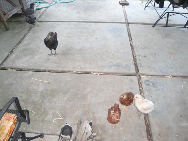 78206_march_011.jpg