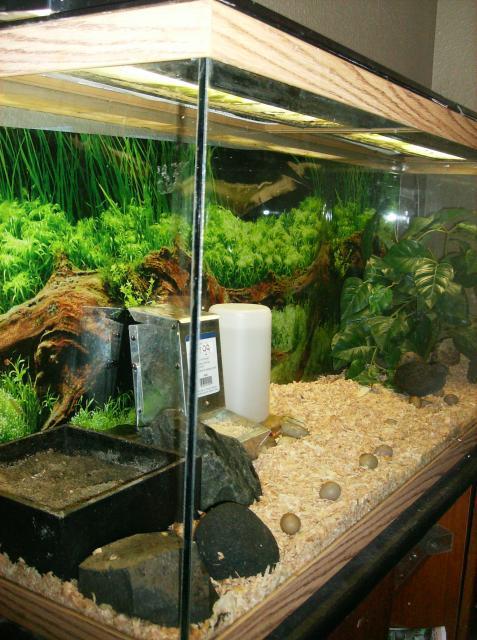 78676_015.jpg