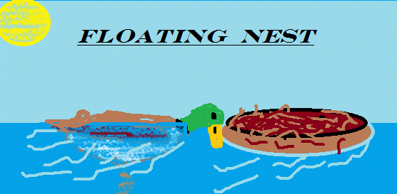 78707_floatifng_nest.png