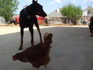 78739_dscf2581.jpeg