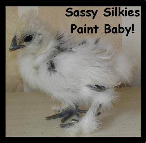 78_paintbabypro.jpg