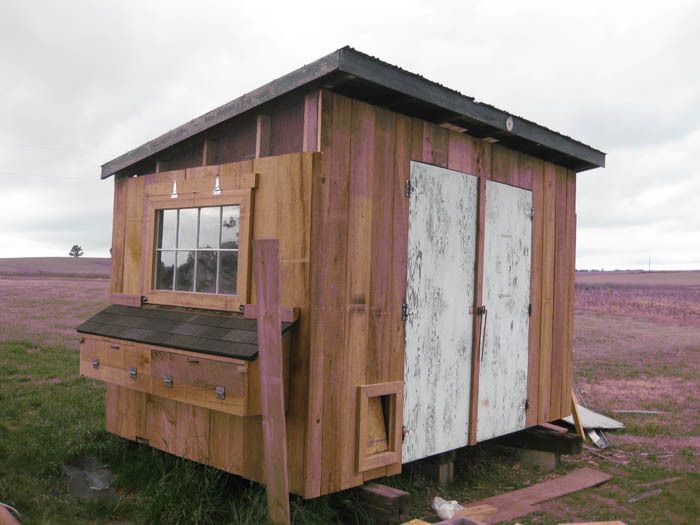 79085_coop18.jpg