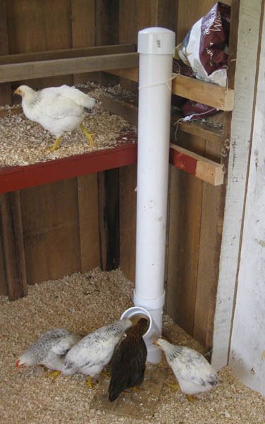 79085_feeder.jpg