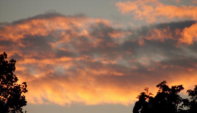 7910_dsc02477.jpg