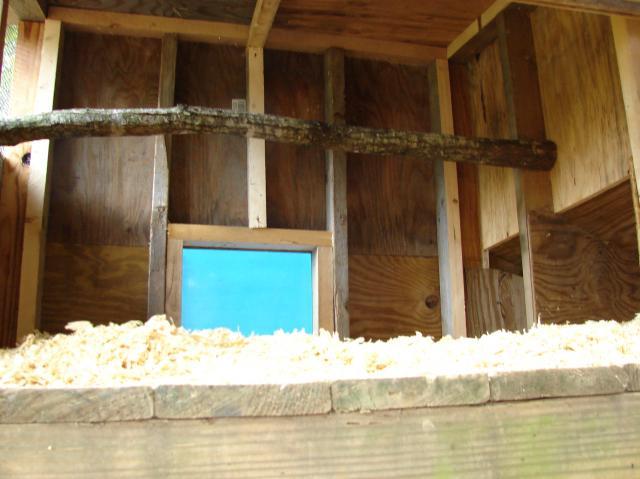 7910_dsc04549.jpg
