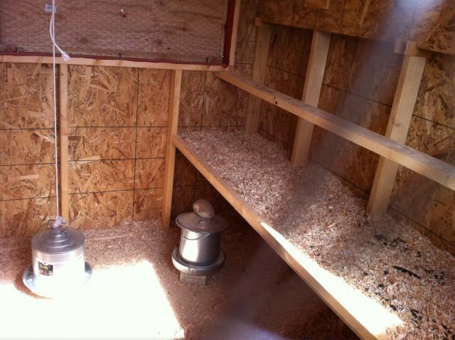 79134_coop_inside.jpg
