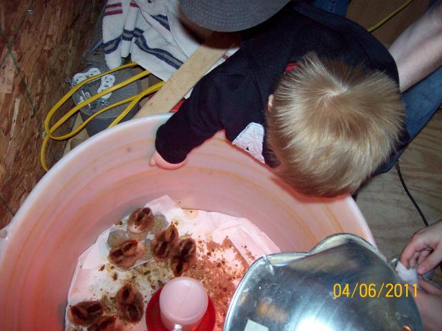 7917_000_0012.jpg