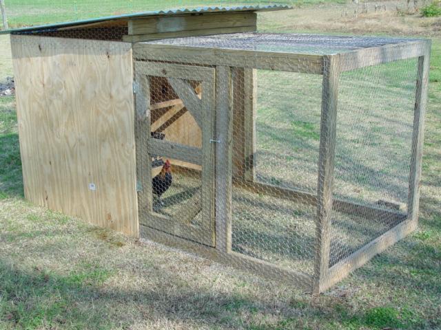 HELPP!! is this coop big enough for 4 hens? | BackYard ...