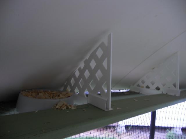 79643_dscn1256.jpg