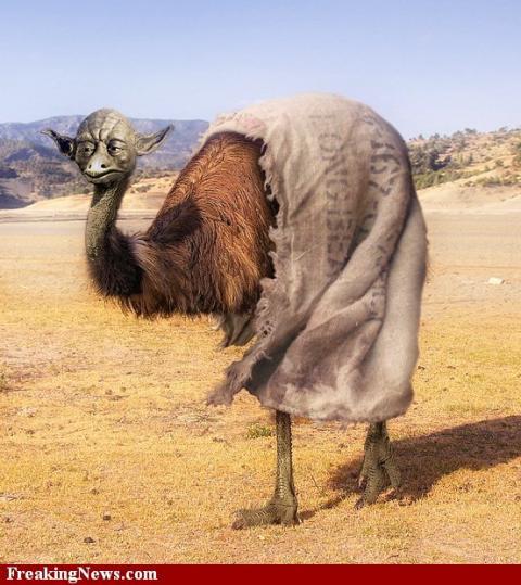 796_emu-yoda.jpg