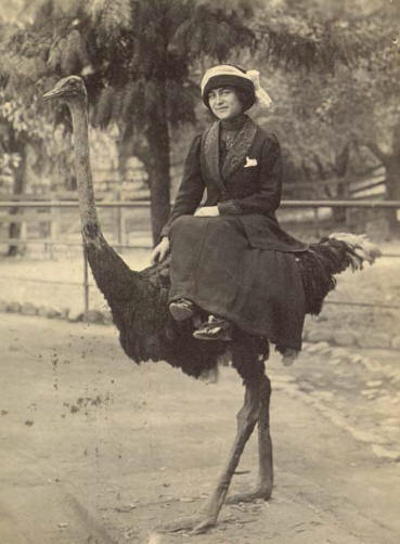 796_emu1.jpg