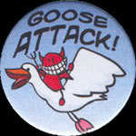 796_goose-attack.jpg