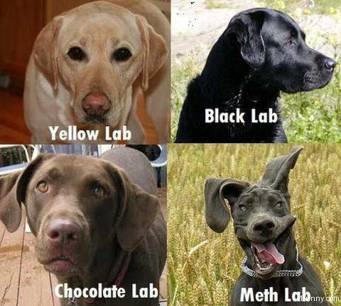 796_meth_lab.jpg