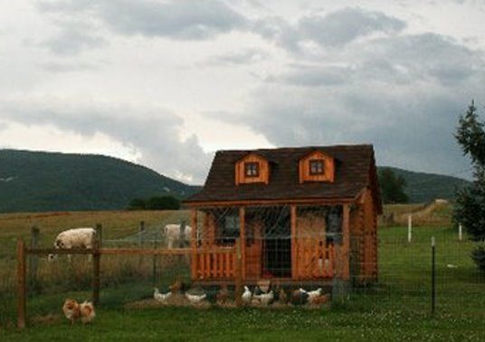 79817_chickencoopcropped.jpg