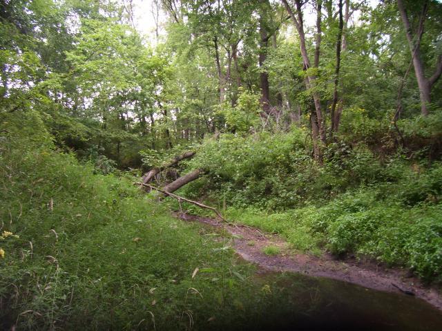 7986_100_5049.jpg