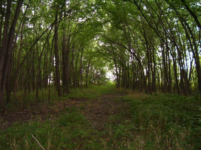 7986_100_5055.jpg