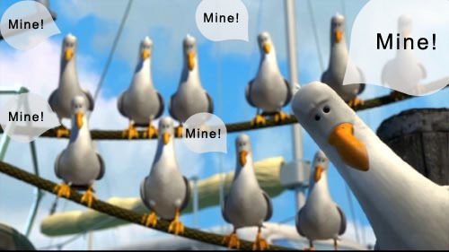 7986_seagulls1.jpg