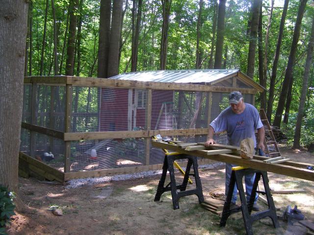 79985_bday_party_and_chickens_move_to_coop_152.jpg