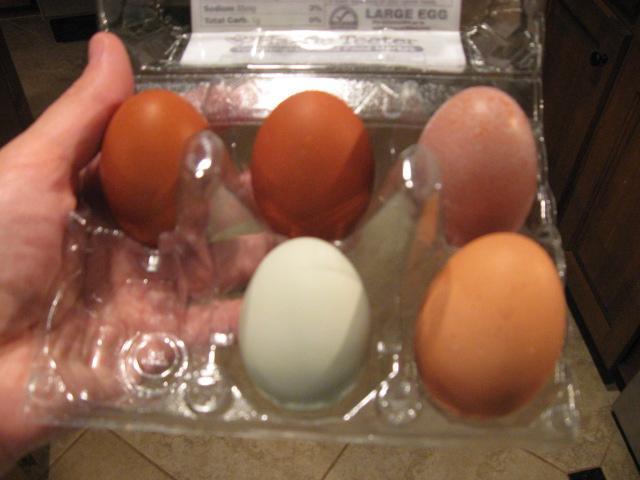 79985_cordelias_egg_008.jpg
