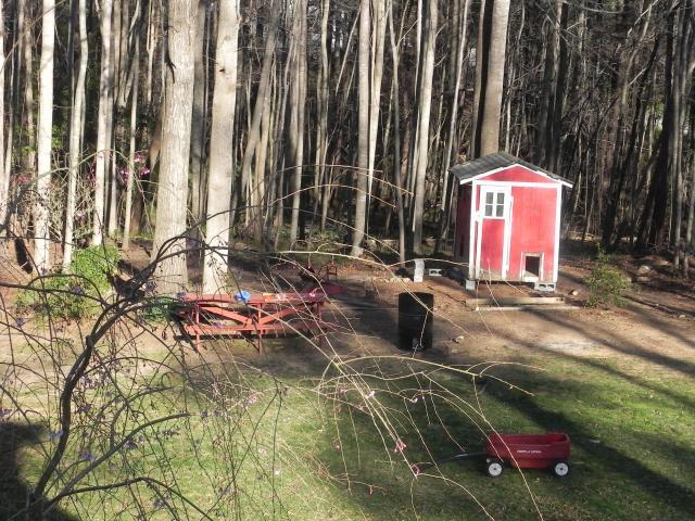 79985_feb_to_march_11_109.jpg