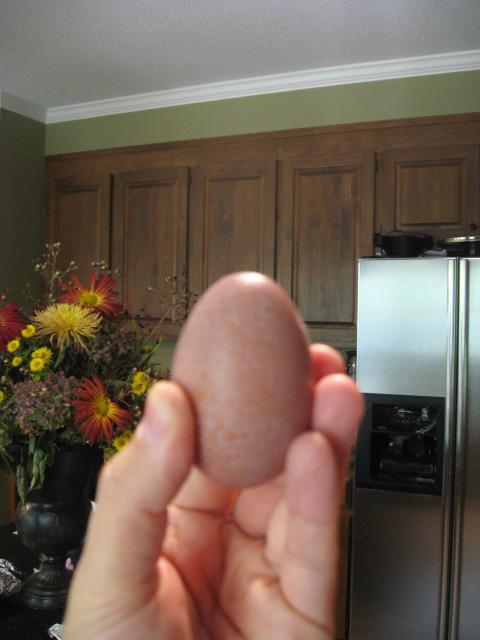 79985_new_egg_009.jpg