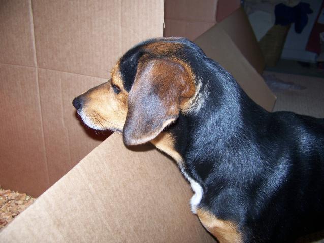 80009_100_7434.jpg