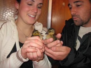 80125_img_3402.jpg