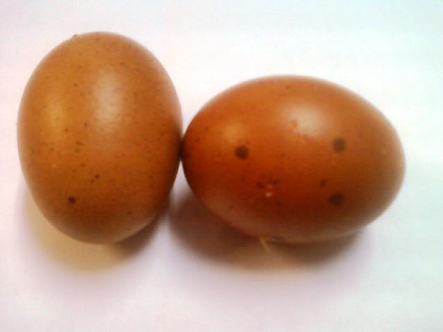 80267_eggs.jpeg