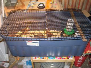 80278_img_2106.jpg