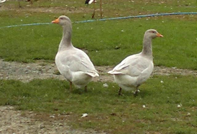 80310_27102011602.jpg