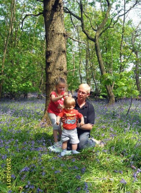 80310_bluebells2.jpg