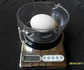 80310_egg-weigh.jpg